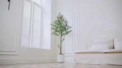 #Size_6FT 863 Leaves 36 Fruits
